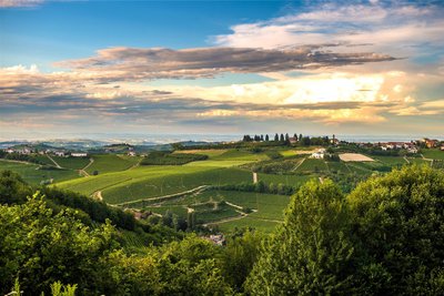 Das Piemont ist eine Region im Nordwesten Italiens, geprägt durch Weinberge, Haselnussplantagen und kleine Städtchen. Irgendwo, versteckt in der Erde, wächst eines der teuersten Lebensmittel der Welt.