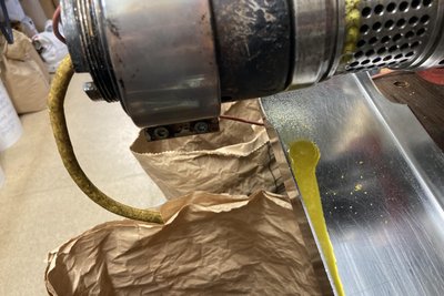 Während das Senföl in einen Tank fließt, muss der Presskuchen separat trocknen, ehe er zu Mehl vermahlen werden kann.