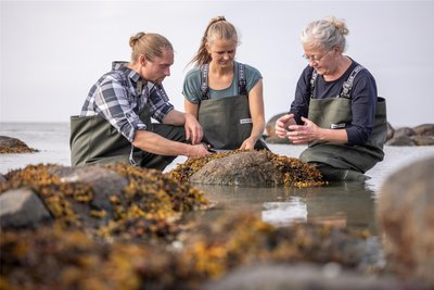 Kulinarische Experimente mit den Schätzen der Ostsee: Tang ist der Verkaufsschlager von Rie Toftelund Ladefoged (r.).