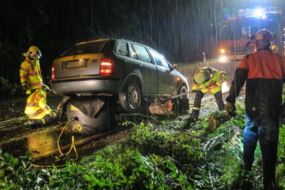 Ein Skoda ist am Freitagabend auf einen Baum aufgefahren.