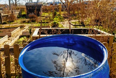 Gießwasser ist das flüssige Gold der Kleingärtner.