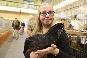 15-jährige Züchterin aus dem Vogtland präsentiert schwarze Schönheiten - Die 15-jährige Lindsay Götz mit einem Cemani schwarz.