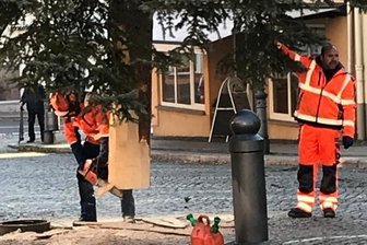 15-Meter-Blaufichte ziert Markt -