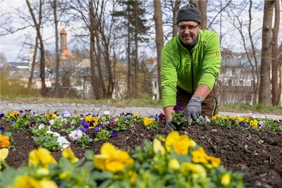 Marcus Möckel vom Auerbacher Stadtbauhof hat an Lauckners Kreuzung Stiefmütterchen gepflanzt.