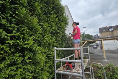 Auch die Nachbarin hat angefangen, ihr Grundstück weiter auf Vordermann zu bringen. Am Dienstag war sie mit dem Schneiden ihrer Hecke beschäftigt, die an den Parkplatz des Marktes grenzt.