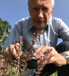 Professor Dietrich Stoyan mit seiner Entdeckung. 