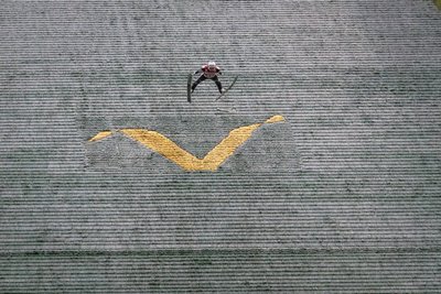 Skispringen funktioniert auch ohne Schnee - hier der Slowene Anze Lanisek bei einem Sommer-Grand-Prix in der Vogtland-Arena.