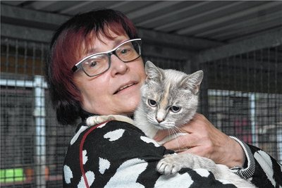 Rosi Pfumfel, Seniorchefin des Vereins "Tiernothilfe Leisnig" hat sich für die Aufnahme von Jungkatzen aus einem überfüllten Tierheim stark gemacht. 