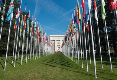 Das Museum erklärt, wie Staaten gemeinsam zu diplomatischen Lösungen kommen.