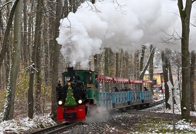 Die Dampflok der Parkeisenbahn ist an diesem Wochenende im Küchwald unterwegs.