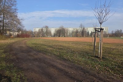 Die Laufbahn im Bürgerpark Gablenz ist als solche kaum noch zu erkennen.