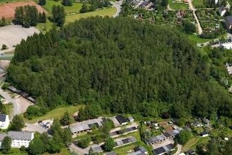 16.000 Bäume auf Halde 65 in Bad Schlema gefällt: Wo Ersatz hinkommt - Blick auf die alte Halde 65 vor der Sanierung - damals noch ein großer Hügel mit Wald. 