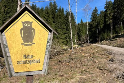 Das Schwarzwassertal ist nicht nur ein Schutzgebiet, sondern weitgehend auch ein Wirtschaftswald.