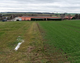 Auf dieser Fläche am Kuhstall von Königshain soll der Schweinestall der Genießergenossenschaft Sachsen gebaut werden. 
