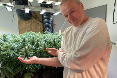 „Die Pflanzen werden verhätschelt. Wir spielen ihnen sogar Musik vor“, sagt Klaus Hübner vom „Klub Karl“. Der Verein baut Cannabis an und will es demnächst in Chemnitz ausgeben.