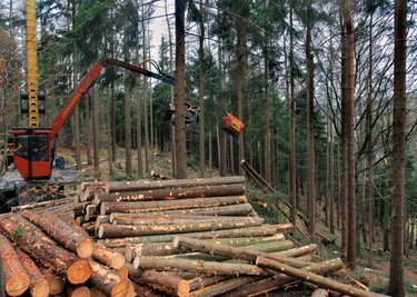 Holztransport