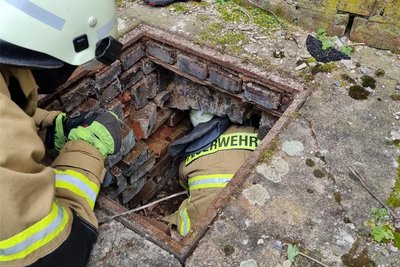 Durch ein Loch versuchten die Kameraden der Feuerwehr und ein Tierparkmitarbeiter, an das Tier heranzukommen.