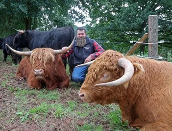 Züchter Maik Werner mit einigen der Schottischen Hochlandrinder, die er jetzt in mehreren Koppeln im Hirschgrund weiden lässt. 