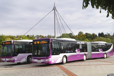 Seit fast vier Jahren verbindet der Plus-Bus Zwickau und Bärenwalde im Stundentakt.