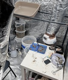 Außerdem wurden Utensilien wie Feinwaagen und Verpackungsmaterial sichergestellt. 