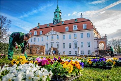 Farbenpracht vorm Schlossportal - Gerd Landgraf und sein Team machen den Park bunt 