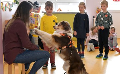 Bella will spielen und ihre Belohnung bekommen. Die erhält sie von den Kindern - wenn sie deren Kommandos richtig ausführt. Die wiederum haben Jonas, Lilly und Benno (v. l.) schon gelernt. 