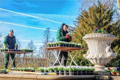 Vor dem Einpflanzen kommt das Austopfen. Heike Baumann und Daniel Fuchs vom Gartenteam. 
