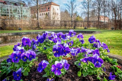 Noch ruht still der See und auch der Brunnen. Farblich ist der Schlosspark auf den Saisonstart eingestimmt. 