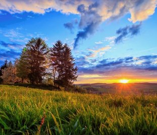 Zum Schutz von Bergwiesen, Teichen, Mooren und Wäldern in der historischen Bergbaulandschaft des Erzgebirges sollen mehr als 20 Millionen Euro investiert werden. 
