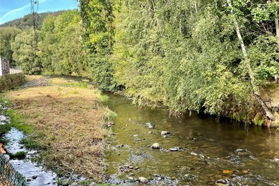 Noch vorige Woche stand das Gras auf dieser „Insel“ im Schwarzwasser meterhoch. Nun ist es gemäht worden. Sehr zur Beruhigung der Anwohner von Erla.
