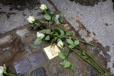 Stolpersteine für Hanna Luise Sachs und ihre Eltern in der Euliotzstraße.