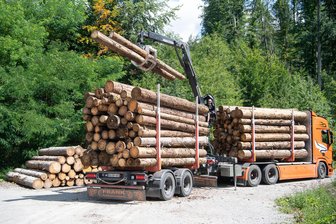 17 Holzlaster kontrolliert: Anwohner im Vogtland weiter um Straßenzustand besorgt - Schwer beladen verlassen die Holztransporter die Wälder in Muldenhammer.