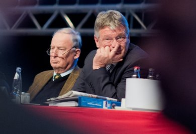 Parteichef gesucht, mit Verspätung gefunden: Alexander Gauland (links) hat sich in Hannover in letzter Minute entschieden, gemeinsam mit Jörg Meuthen die Führung der AfD zu übernehmen.