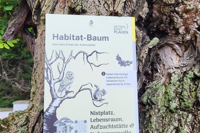 Mit diesen Schildern werden zurzeit in Plauen Habitat-Bäume gekennzeichnet.