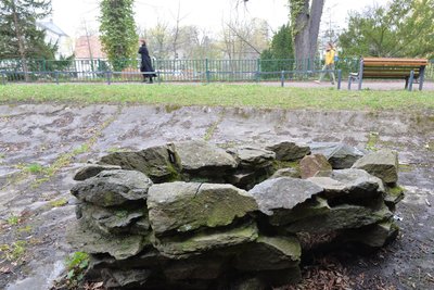 Eine Anzucht im Albertpark in Freiberg – das ist ein historischer unterirdischer Wasserlauf.