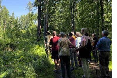 Zum Tag der Artenvielfalt wird in Freiberg ein Spaziergang angeboten.