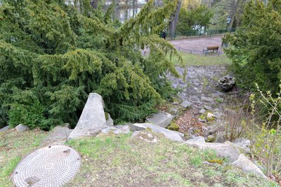 Blick von der Freiberger Wallstraße (B 101) auf die Anzucht im Albertpark, die wie ein kleiner Wasserfall aussieht.