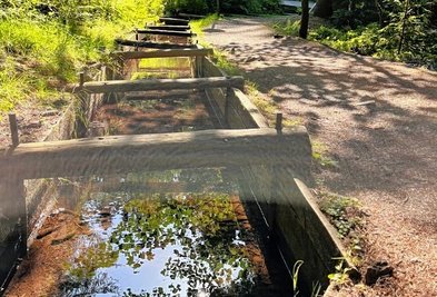 Am Röhrgraben soll Müll gesammelt werden. 