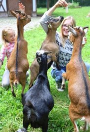 Leonie und ihre kleine Schwester Sue Ann fütterten im Sommer im Tiergehege im Sahnpark Ziegen.