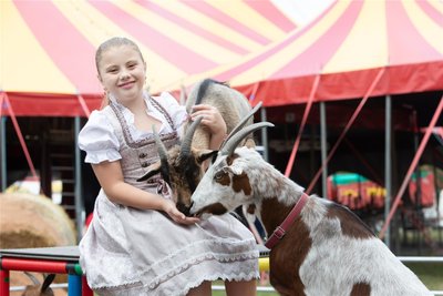 Celina (10) ist mit dem Zirkusleben aufgewachsen. Die Ziegen hören auf sie.