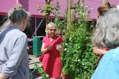 Besonders stolz ist Birgit Schattling auf die Klimaterrasse.