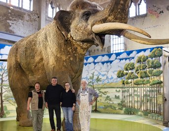 Elefantenstarkes Team: In der Pfännerhall Braunsbedra hat Günter Eckardt (r.) mit Dominique Görlitz (l.), Harald Lanta und Heike Vogel den Hintergrund für die Präsentation des Urelefanten geschaffen. 
