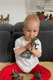Schau mal, ein Dino. Der zweieinhalbjährige John aus Sebnitz kann heute selbstständig sitzen und mit der Plastikfigur spielen. 