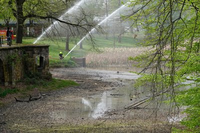 Wasser für Kaulquappen: Ohne die Hilfe der Feuerwehr wäre der Teich wohl ausgetrocknet