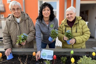 Freia Kempter, Sabine Arnold und Martina Fitzner (v. l.) pflanzen Vergissmeinnicht.