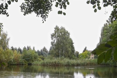 Die Sportfischer übernehmen ab Anfang 2022 die Bewirtschaftung vom Mühlteich. 