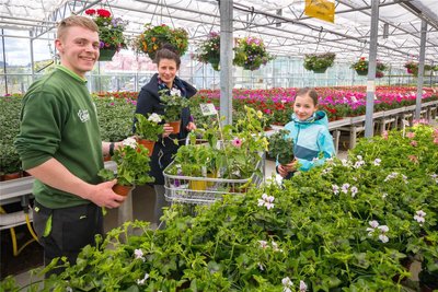 Neue Pflanzen für Garten und Balkon haben sich am Wochenende in Drebach Kathleen (Mitte) und Hannah Stopp geholt. Mitarbeiter Aaron Weber zeigt ihnen verschiedene Pelargonien.