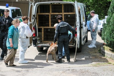Ein Großeinsatz der Polizei in Lauter-Bernsbach sorgt seit Mittwochmorgen für Rätselraten.