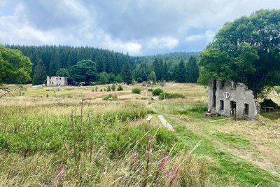 Die Reste des Dorfs Königsmühle sind Ziel einer geführten Wanderung.