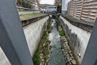 Die Grünfärbung des Seiferitzbachs ist deutlich zu sehen. 